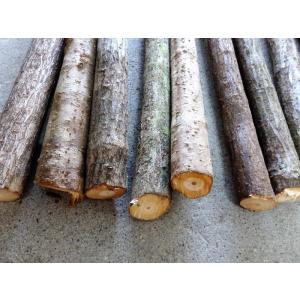 石屋玄能の柄  900mm (牛殺しの柄、自然木）１本