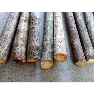 石屋玄能の柄  600mm (牛殺しの柄、自然木）１本