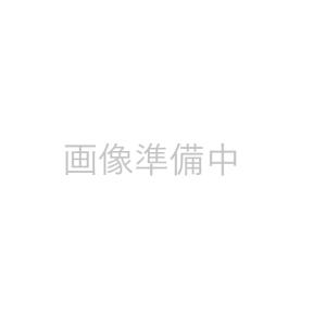 丸釘 釘 N75 4Kg アシバネ印の詳細画像3