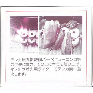 ミツウロコ テンカ炭 豆炭着火剤 1箱32ケ入りの詳細画像4