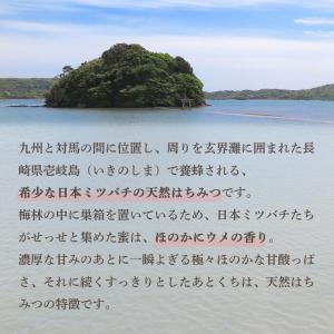 UU ニホンミツバチ 蜂蜜 濃厚 天然はちみつ...の詳細画像2