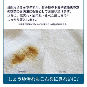 ホタテ貝の洗濯洗剤 洗濯機に1粒入れるだけ タ...の詳細画像5