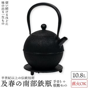 岩鋳（IWACHU） 鉄瓶兼用急須 5型アラレ 茶こし付き 南部鉄器 鉄瓶