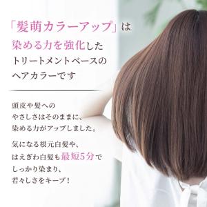 白髪染め トリートメント 髪萌 カラーアップ ...の詳細画像2