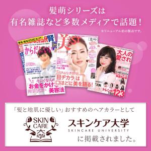 白髪染め トリートメント 髪萌 カラーアップ ...の詳細画像4