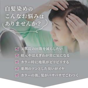白髪染め トリートメント 髪萌 カラーアップ ...の詳細画像5