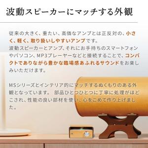 波動スピーカーウォームアンプ W-Amp12 ...の詳細画像1