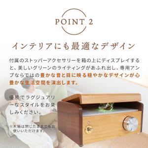 波動スピーカーウォームアンプ W-Amp12 ...の詳細画像3