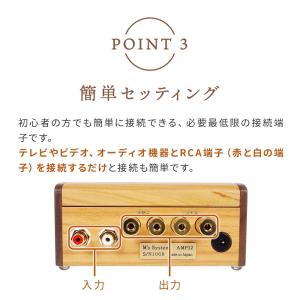 波動スピーカーウォームアンプ W-Amp12 ...の詳細画像4