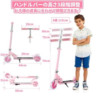 PROBASTO プロテクター付き キックボー...の詳細画像2