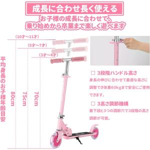 PROBASTO プロテクター付き キックボー...の詳細画像4