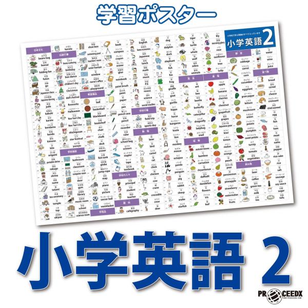 proceedx　学習ポスター　0957　小学英語2　　送料無料　勉強部屋　教室　壁掛け　小学