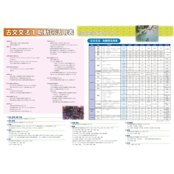 proceedx　学習ポスター　10043　古文　文法1　助動詞活用表　送料無料　　勉強部屋　教室　...