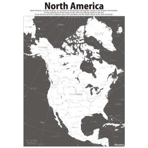 PROCEEDX美しい世界地図　北アメリカ　学習ポスターミニマルマップA4サイズ日本製1102｜proceedx