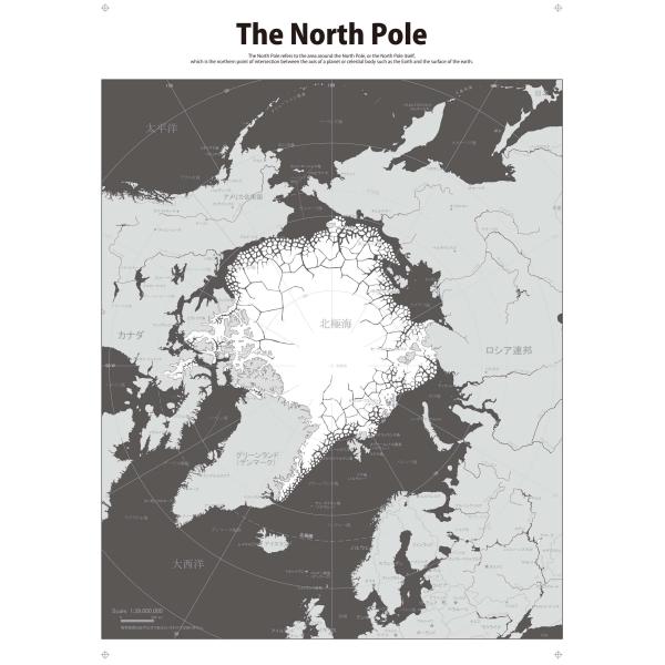 PROCEEDX美しい世界地図　北極　　学習ポスター　ミニマルマップ　A2サイズ　日本製1110　4...