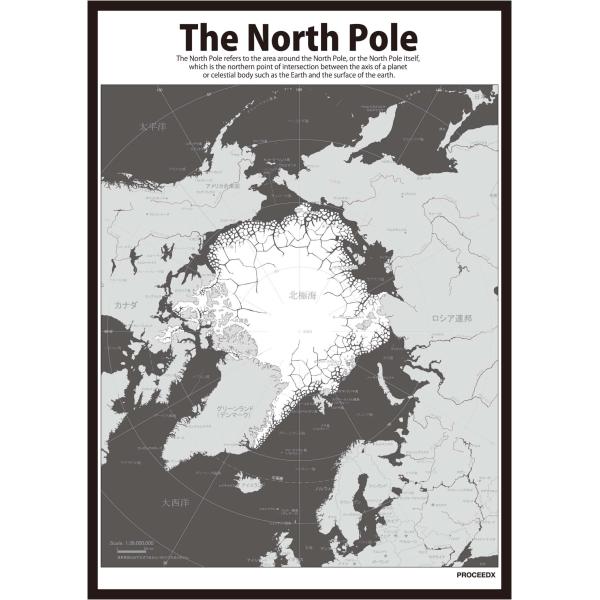 PROCEEDX美しい世界地図　北極　学習ポスターミニマルマップ　フレーム付きA4サイズ日本製125...