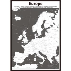 PROCEEDX美しい世界地図　ヨーロッパ　学習ポスターミニマルマップ　フレーム付きA4サイズ日本製1255｜proceedx