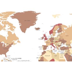 PROCEEDX美しい世界地図 パステルカラー...の詳細画像2