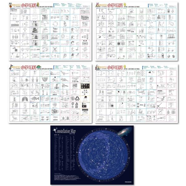 proceedx学習ポスター 小学理科図解特別セット　Ａ2サイズ　5点　折り目無し送付　日本製