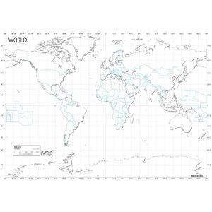 PROCEEDX美しい世界地図 書き込み自由 ホワイト学習ポスターミニマルマップA1ビッグサイズ 丸筒送付日本製 影付き1362 [ポスター]｜proceedx