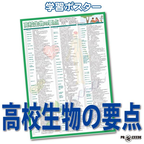 proceedx 学習ポスター1572高校生物の要点　勉強部屋　教室　壁貼り　学習　大学受験　送料無...