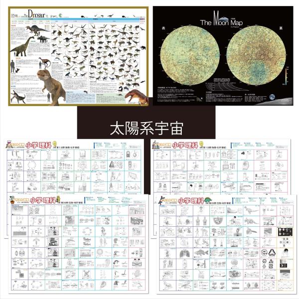 proceedx学習ポスター3038福袋18＜7枚セット＞小学理科4点　宇宙　恐竜　 月面 　A2サ...