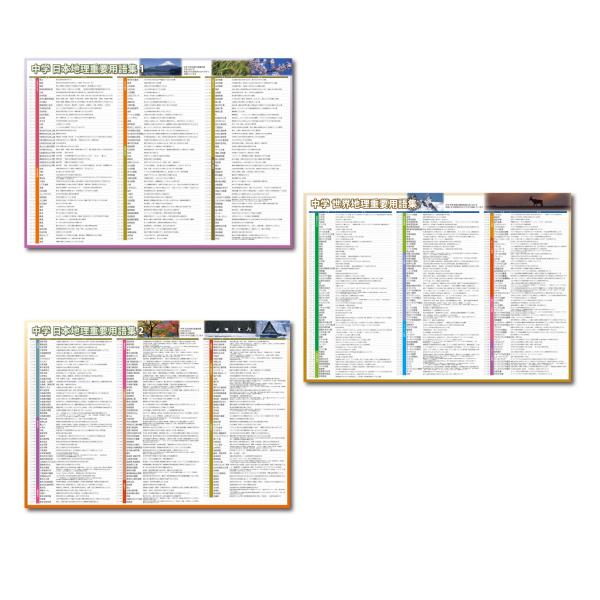 proceedx 3222地理の重要用語をしっかり習得！お値打ち3枚セット 日本製