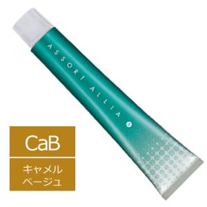 ASSORT ALLIA デミ アソート アリア S サンドベージュ 12/11SaB 1剤