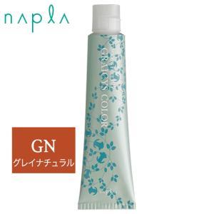 ナプラ アクセスフリーHB グレイシスカラー GN2 グレイナチュラル 第1剤 80g｜procosme