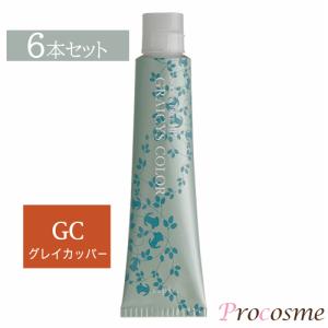 napla（ナプラ） アクセスフリーHB グレイシスカラー GN2 グレイ