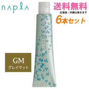 napla（ナプラ） アクセスフリーHB グレイシスカラー GN5 グレイ