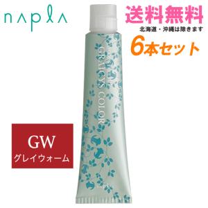 napla（ナプラ） アクセスフリーHB グレイシスカラー GN5 グレイ