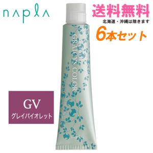 napla（ナプラ） アクセスフリーHB グレイシスカラー GN5 グレイ