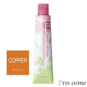 全て未使用品◆ナシードカラー ケアテクトカラー ヘアカラー剤 まとめ売り napla（ナプラ） HBケアテクトカラー ファッションシェード C-Re6