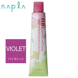 ナプラ ケアテクトカラー&ナシードカラー48本 napla（ナプラ） HBケアテクトカラー ファッションシェード C-ブルー