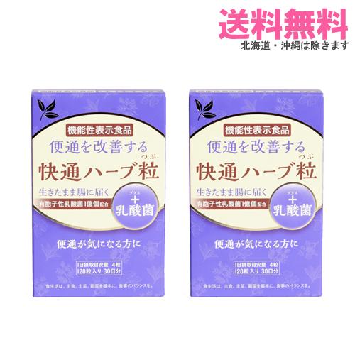 ナチュラルウェーブ 快通ハーブ粒 +乳酸菌 120粒×2箱｜送料無料 2箱セット｜機能性表示食品