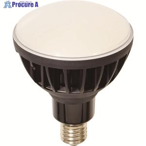 NICHIDO ハイスペックエコビック40W ( L40V2-J110-30K ) 日動工業(株