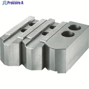 TRUSCO 生爪北川用 HO用 チャック10インチ  ▼112-8931 HO-10