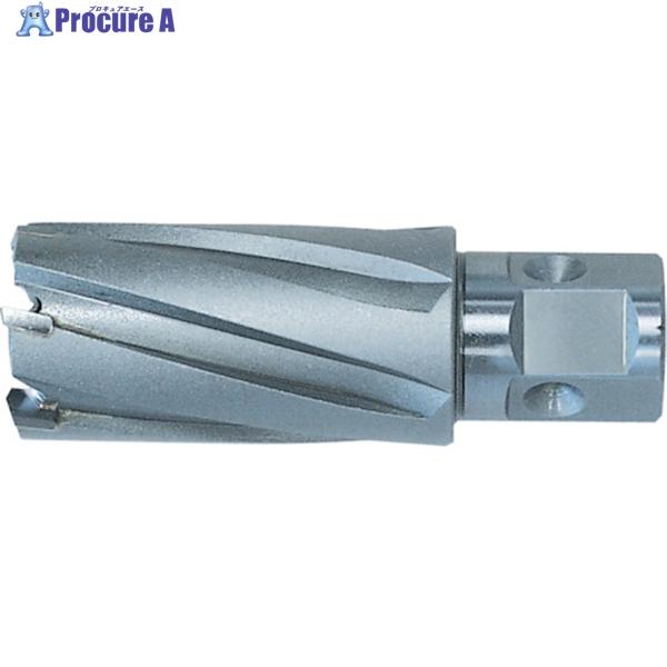 日東 ジェットブローチ ワンタッチタイプ 38X35L 16338  ▼117-1895 NO.16...