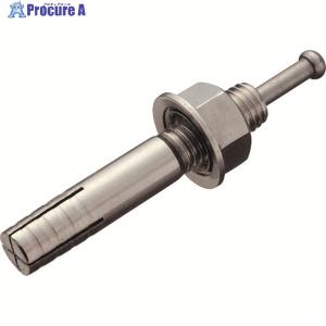 オールアンカー ステンレス M12 長さ 100mm SC-1210 ( 1本単位 バラ 