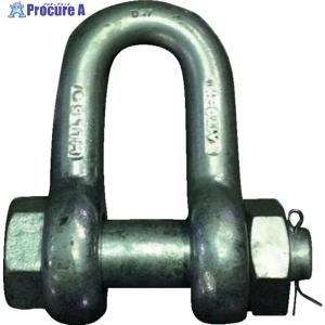 大洋製器工業 TAIYO 強力長シャックル(捻じ込みタイプ) 2.5t(1010762