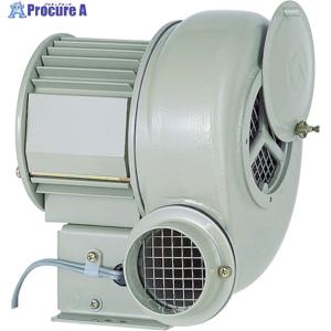 昭和 電動送風機 汎用シリーズ(0.25kW)  ▼138-4201 SB-75  1台