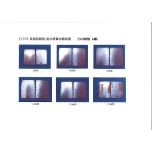 EVERS 長期防錆剤 420mlスプレー ▼...の詳細画像1