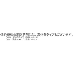 EVERS 長期防錆剤 420mlスプレー ▼...の詳細画像2