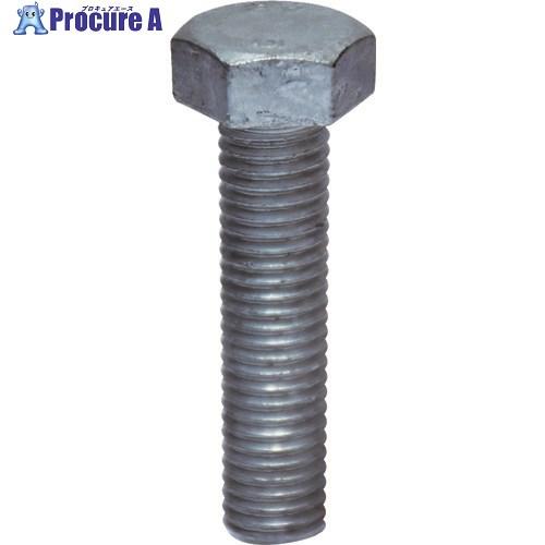 YAHATA 六角ボルト全ねじ ドブ M10×60 (100本入)  ▼161-4165 YH012...