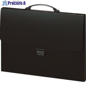 リヒト A3バッグ 黒  ▼162-4032 F912 BK  1冊｜procure-a