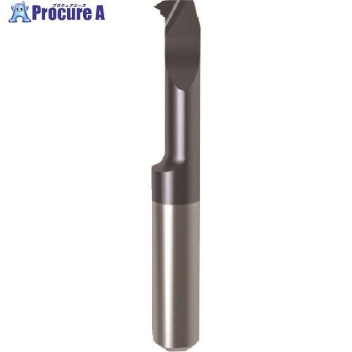 GUHRING 溝入れ工具 インサート 内径ねじ切り さらい刃付き メートル並目ねじ用 nanoAコ...