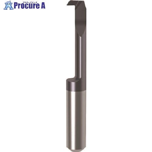 GUHRING 溝入れ工具 インサート 内径加工用 nanoAコート GT106.3257.020....