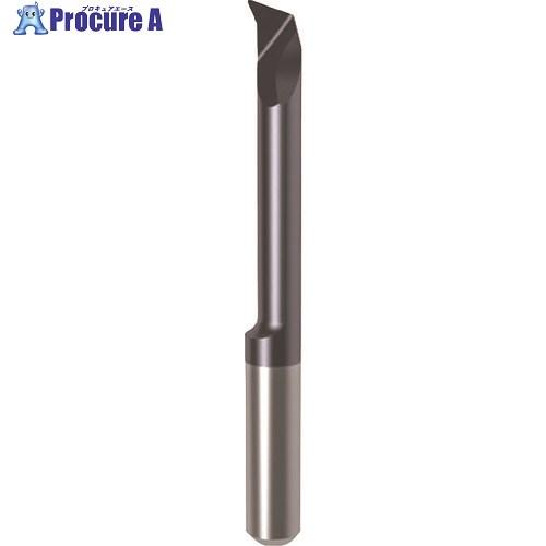 GUHRING 溝入れ工具 インサート 内径加工用 nanoAコート GT104.2026.020....