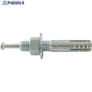 TRUSCO オールアンカーCタイプ M6X45 16本入   202-6911 C-645BT   1パック